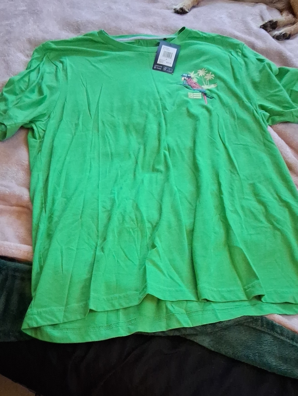 Chaps Mens  Bright Green Crewneck Tee